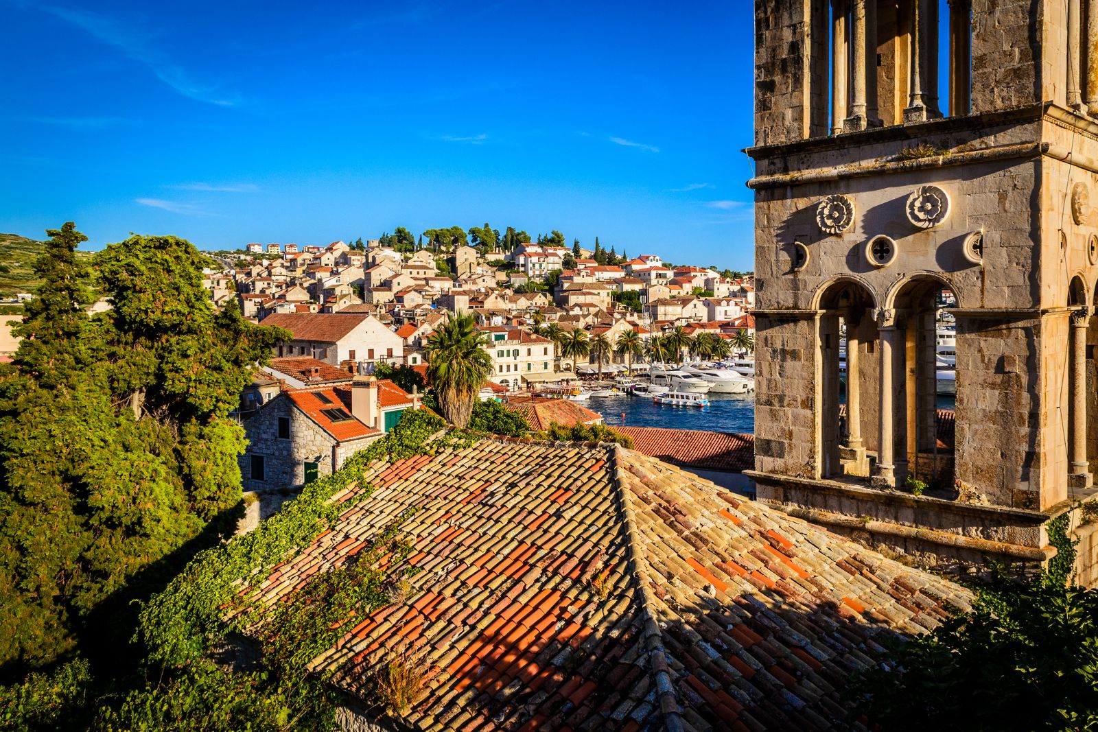 Historic church covered in ivy and the rooftops of Hvar old town in Croatia