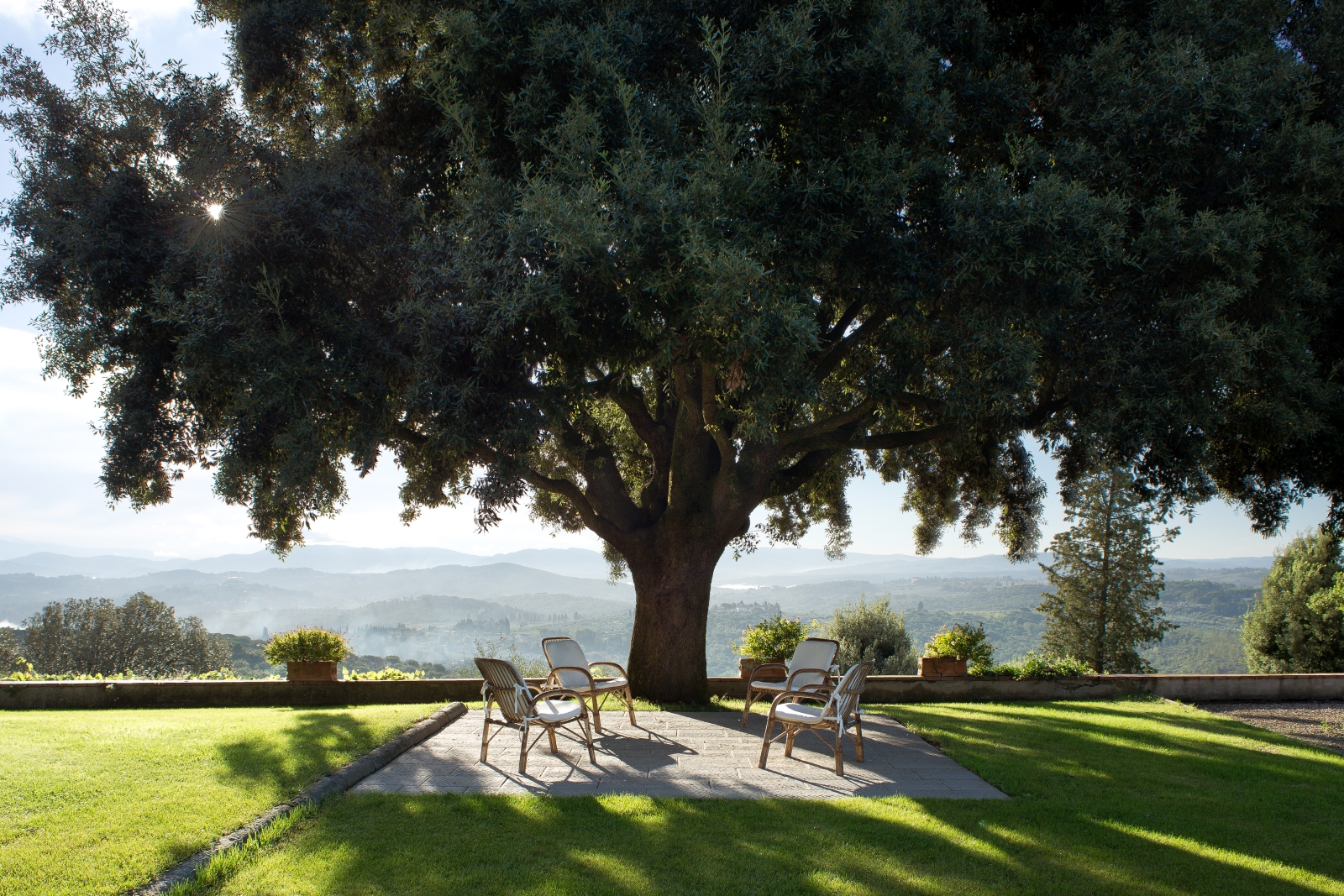 Large tree with outdoor seating at San Morello in Tuscany