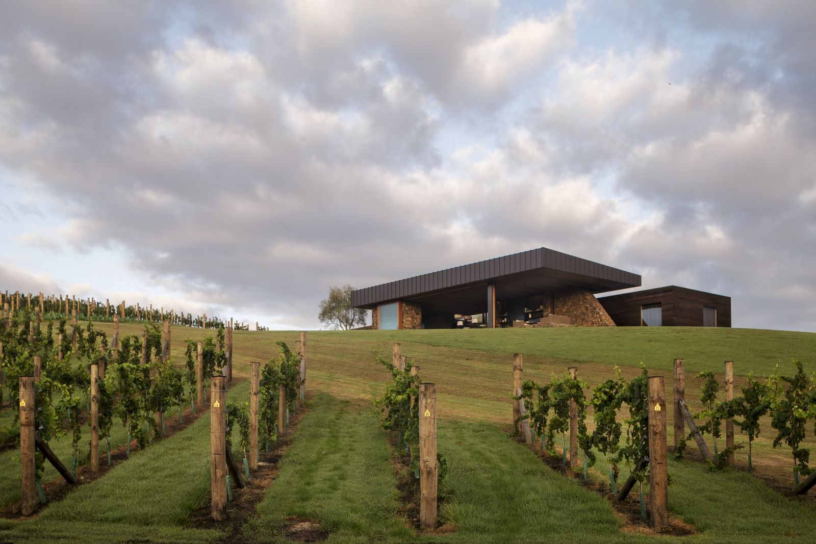 The Landing New Zealand The Vineyard exterior with grapevines in front