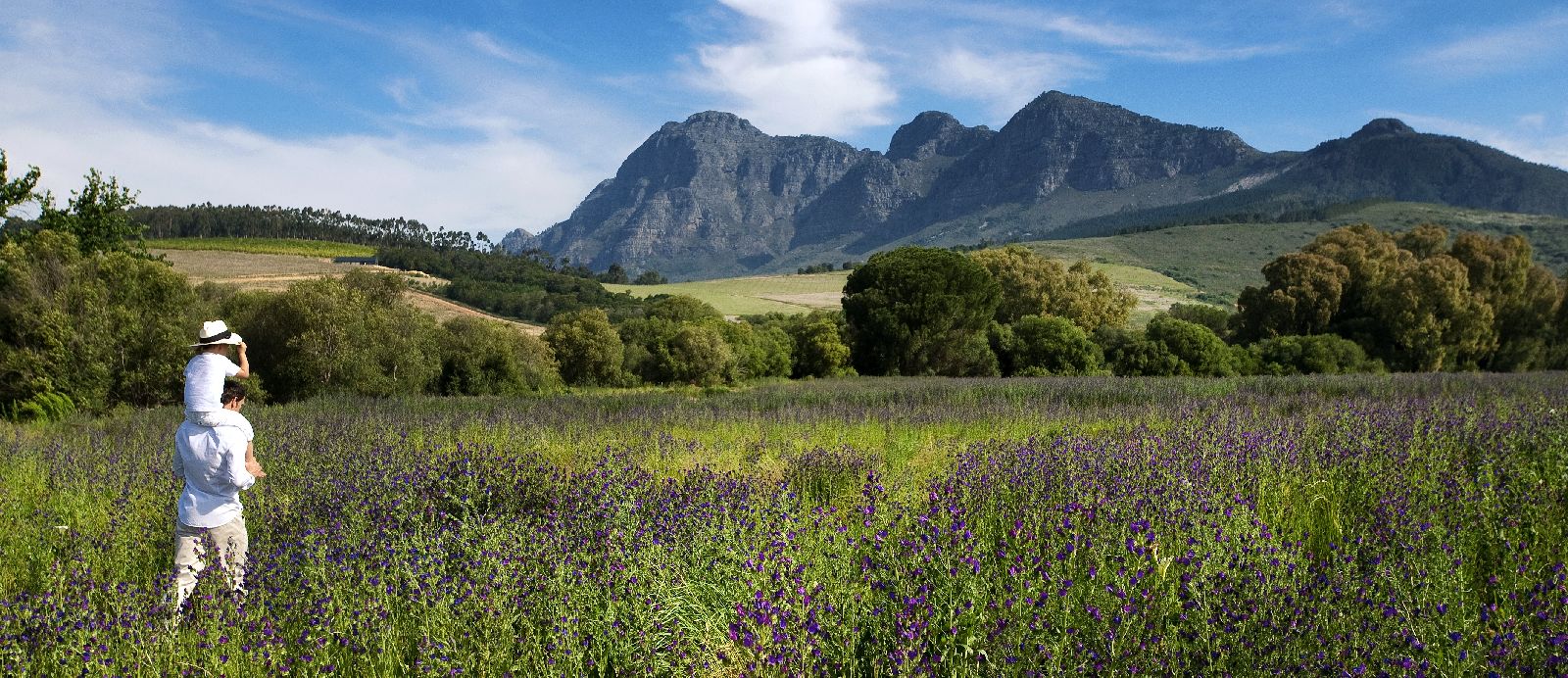 Parent and child walking through wildflower meadows at Babylonstoren in South Africa
