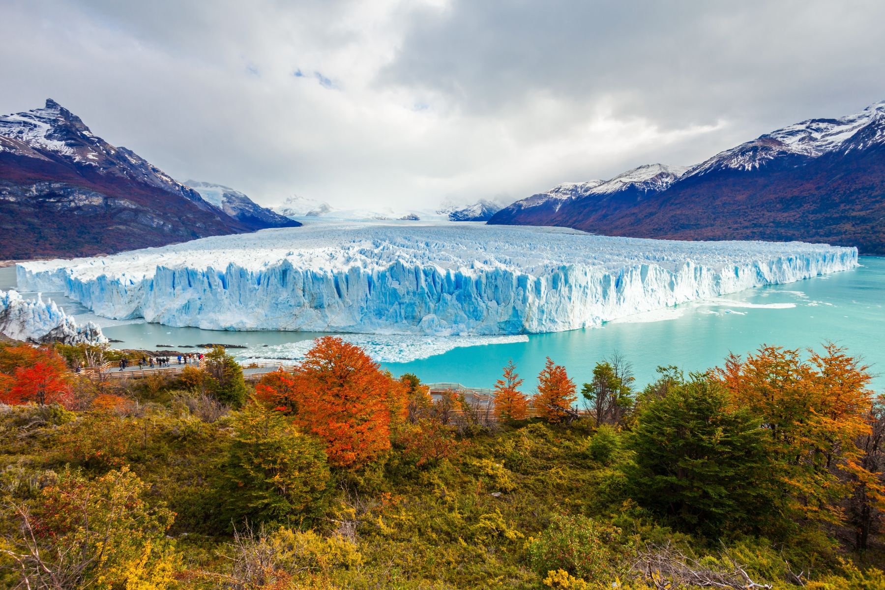 Trees turning red in autumn in front of the Perito Moreno glacier in Argentina