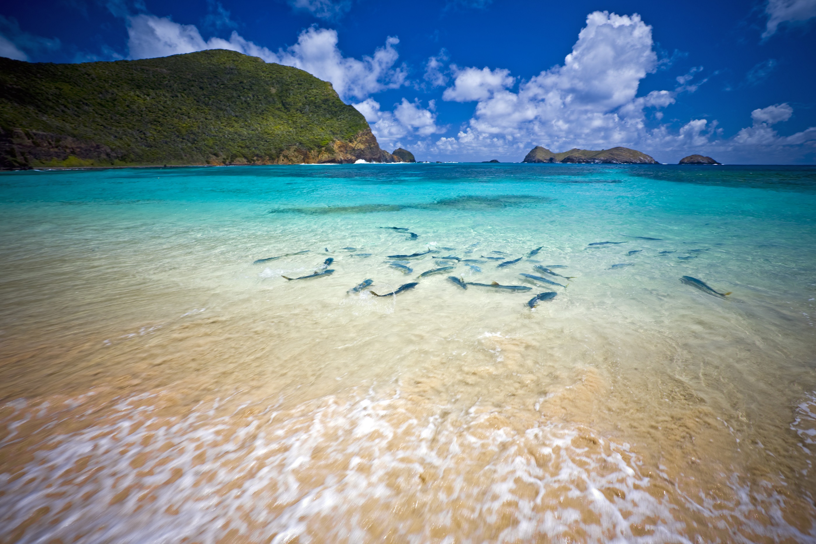 A beach on Lord Howe Island