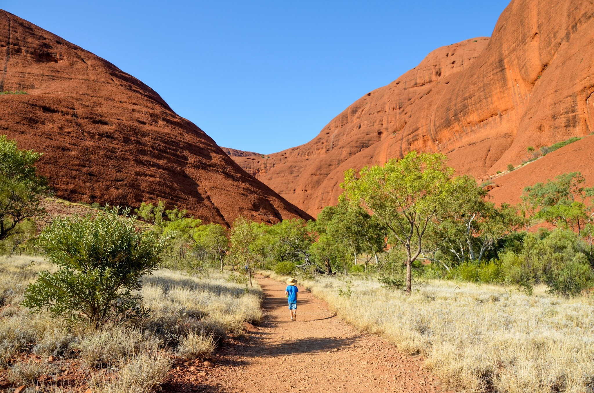 A person hiking in the Olgas in the Australian outback