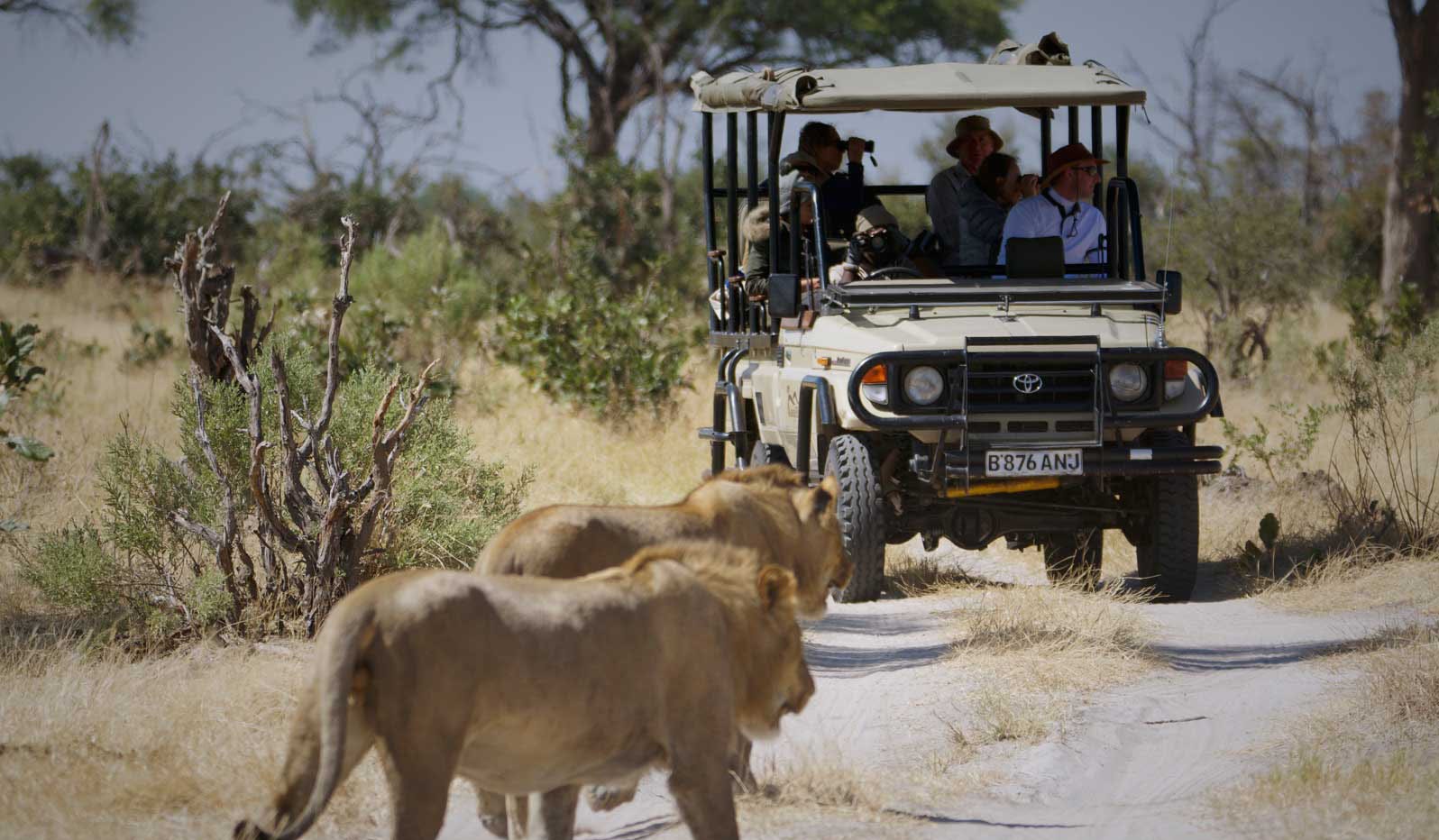 Luxury Botswana Holidays & Safaris | Red Savannah