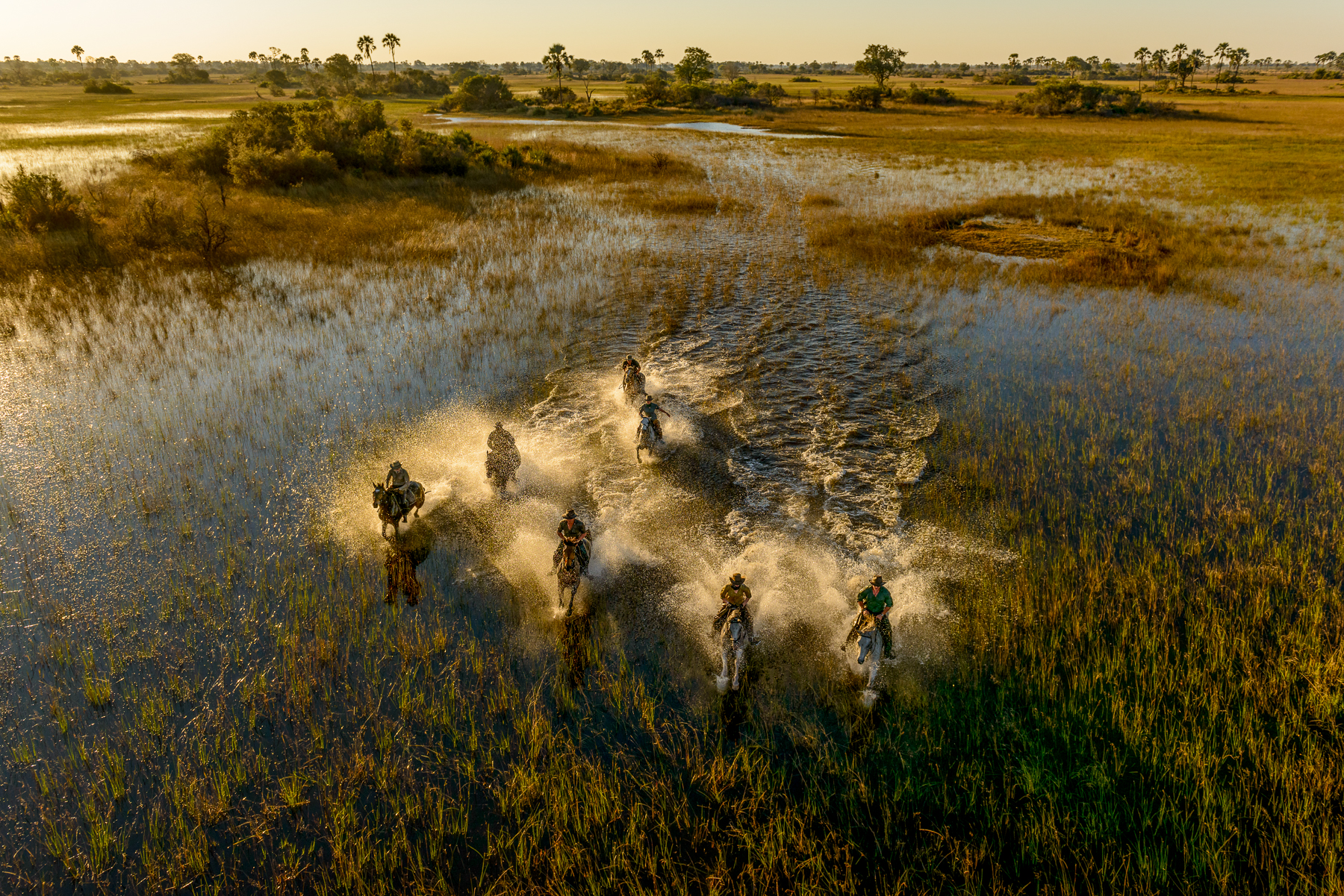 Riding in the Okavango Delta from Macatoo Camp