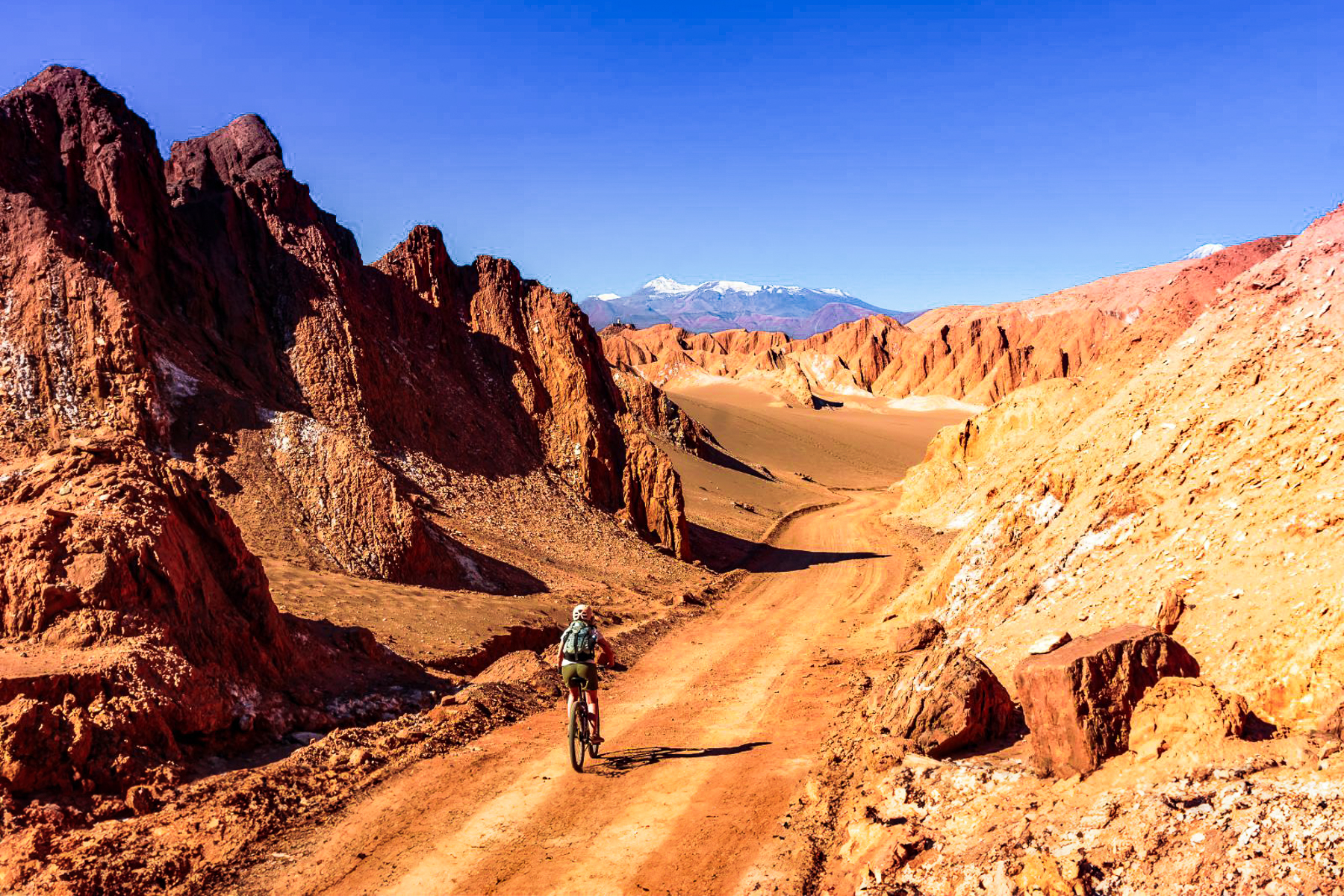 A woman cycling through the Atacama Desert