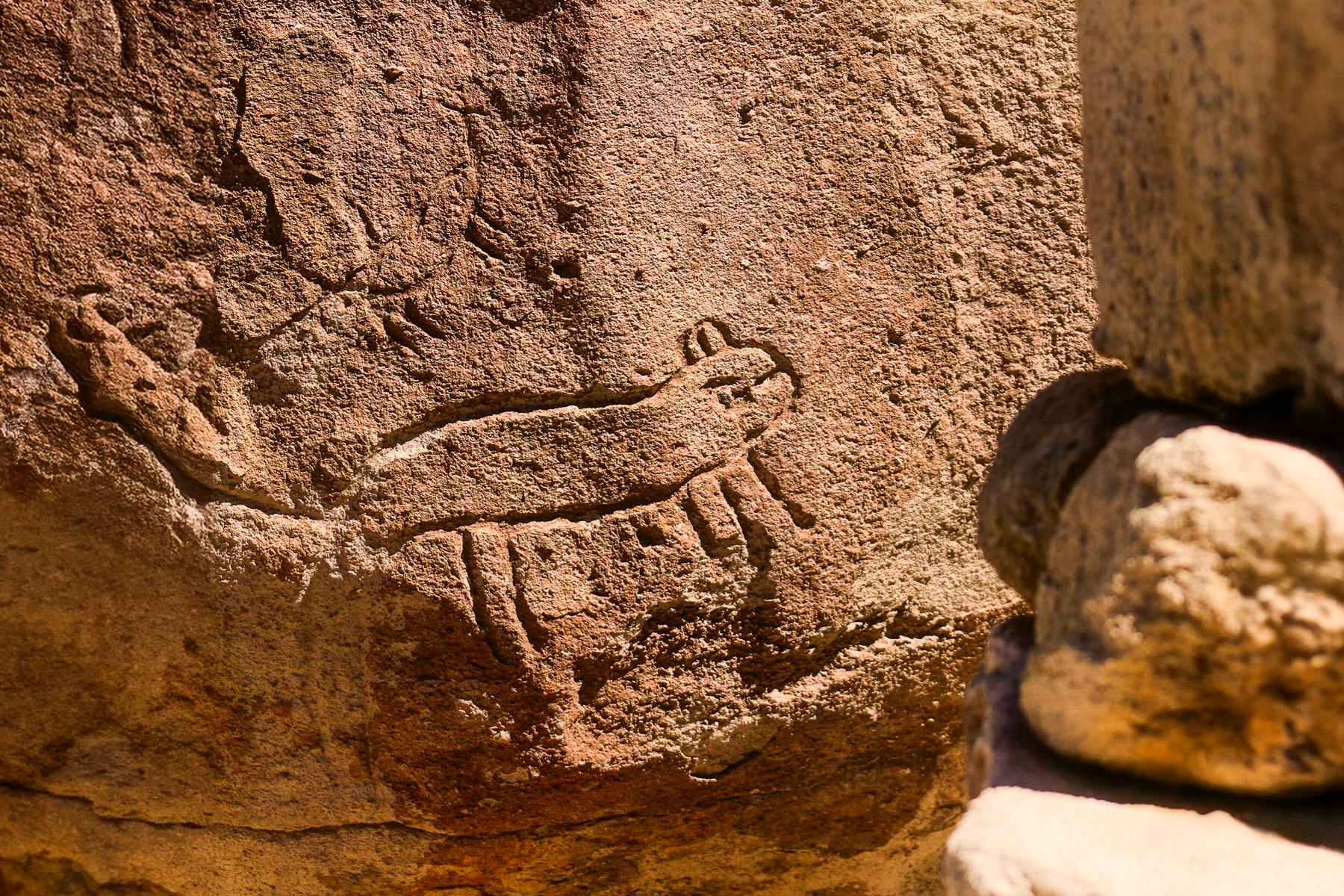 Petroglyphs on the wall of the Quebrada del Diablo in the Atacama Desert