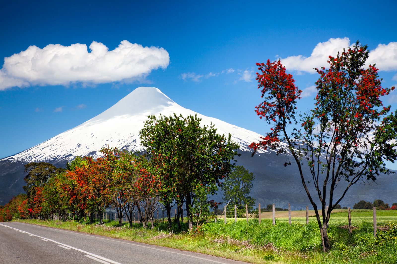 The snowcapped peak of the Osorno Volcano near Pucon in Chile