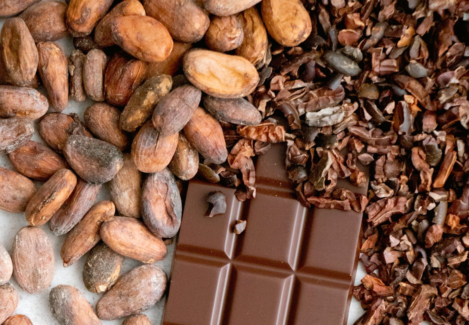 Dried cacao beans and a bar of dark chocolate