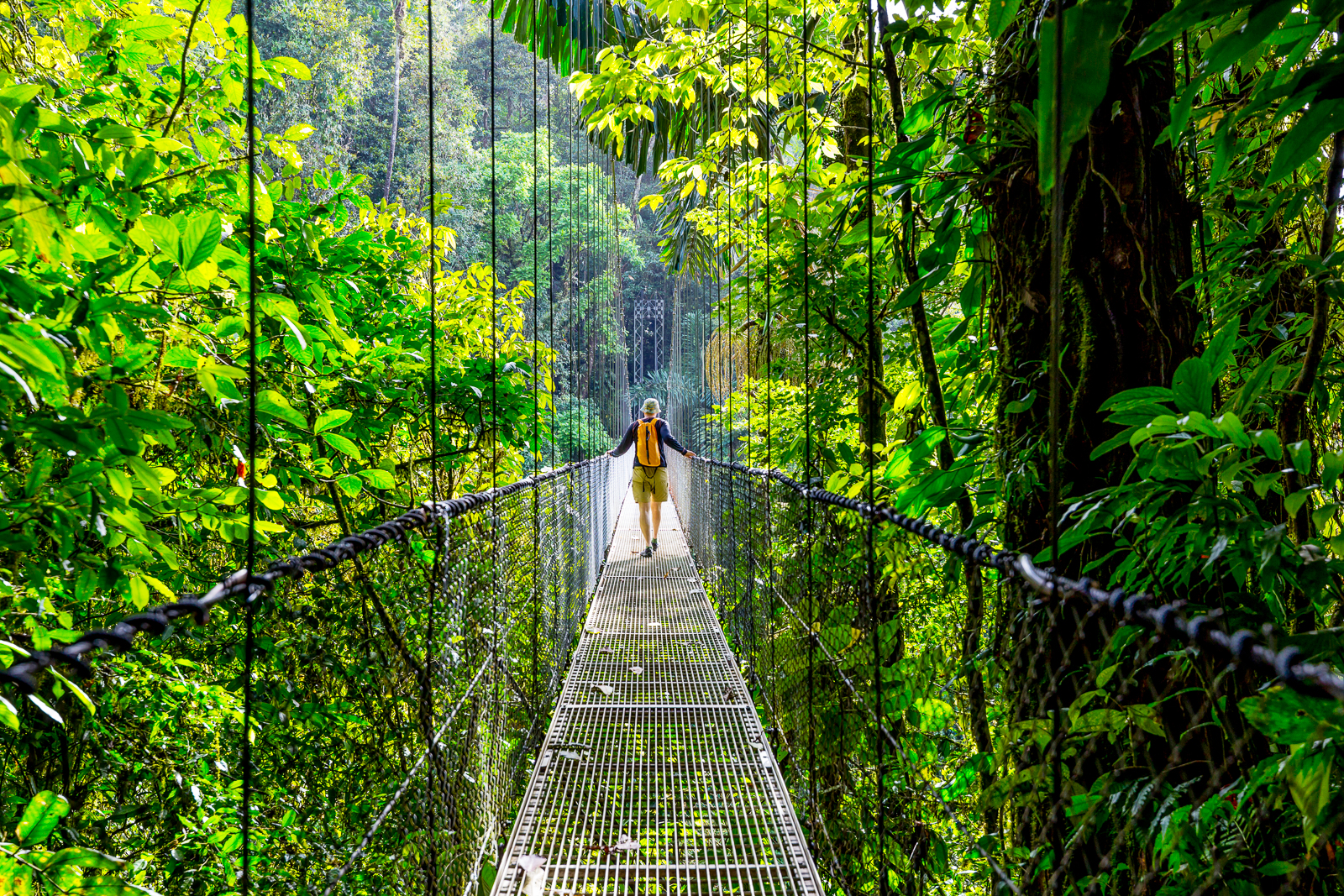 A person walking across hanging bridges in Arenal Volcano National Park