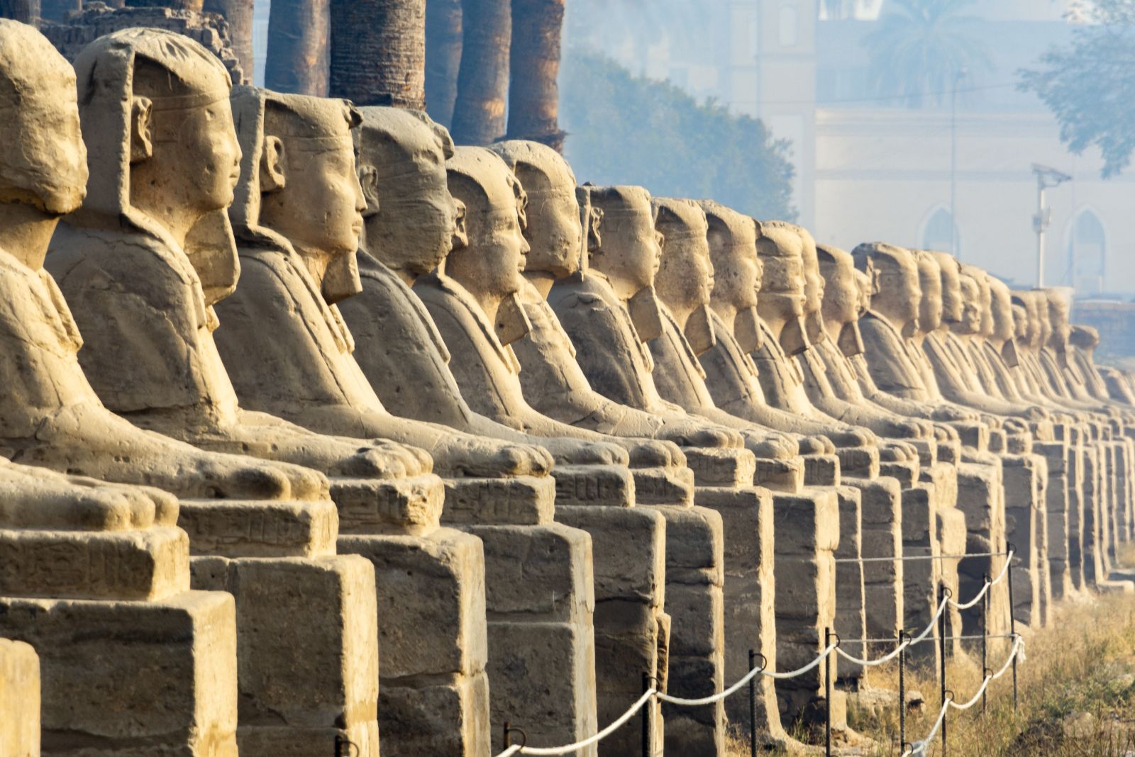 Luxor's Avenue of the Sphinxes