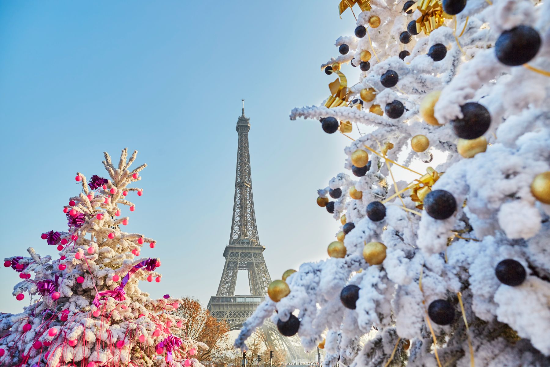 The Eiffel Tower viewed through Christmas trees in Paris