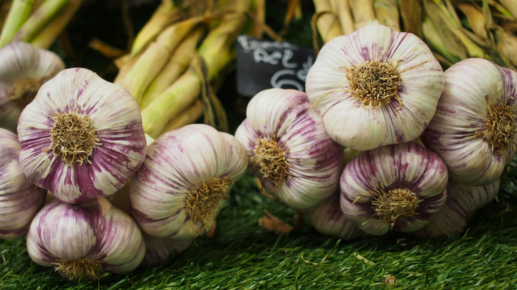 Fresh garlic for a sale at a market in France