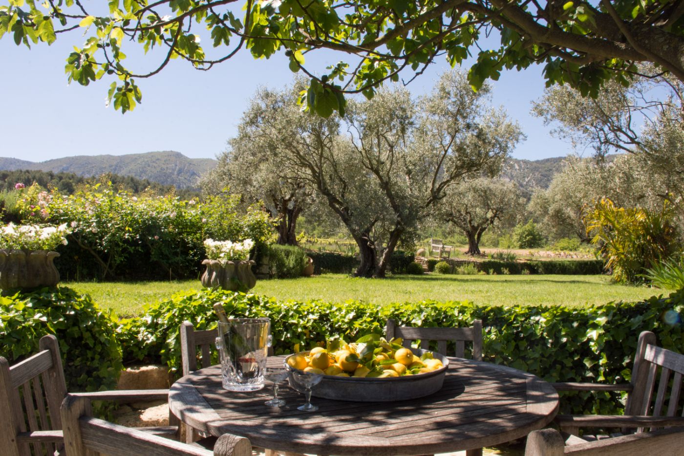 The garden of La Jolie Oppede.