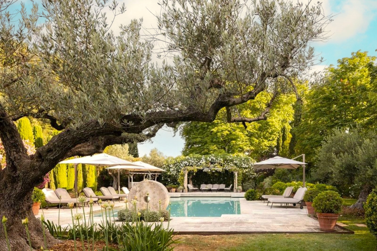 Pool at Le Mas de Liliana in Provence, France