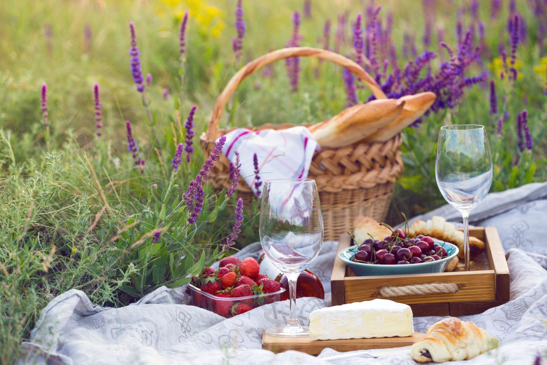 A picnic basket set on a blanket in a lavender field in Provence