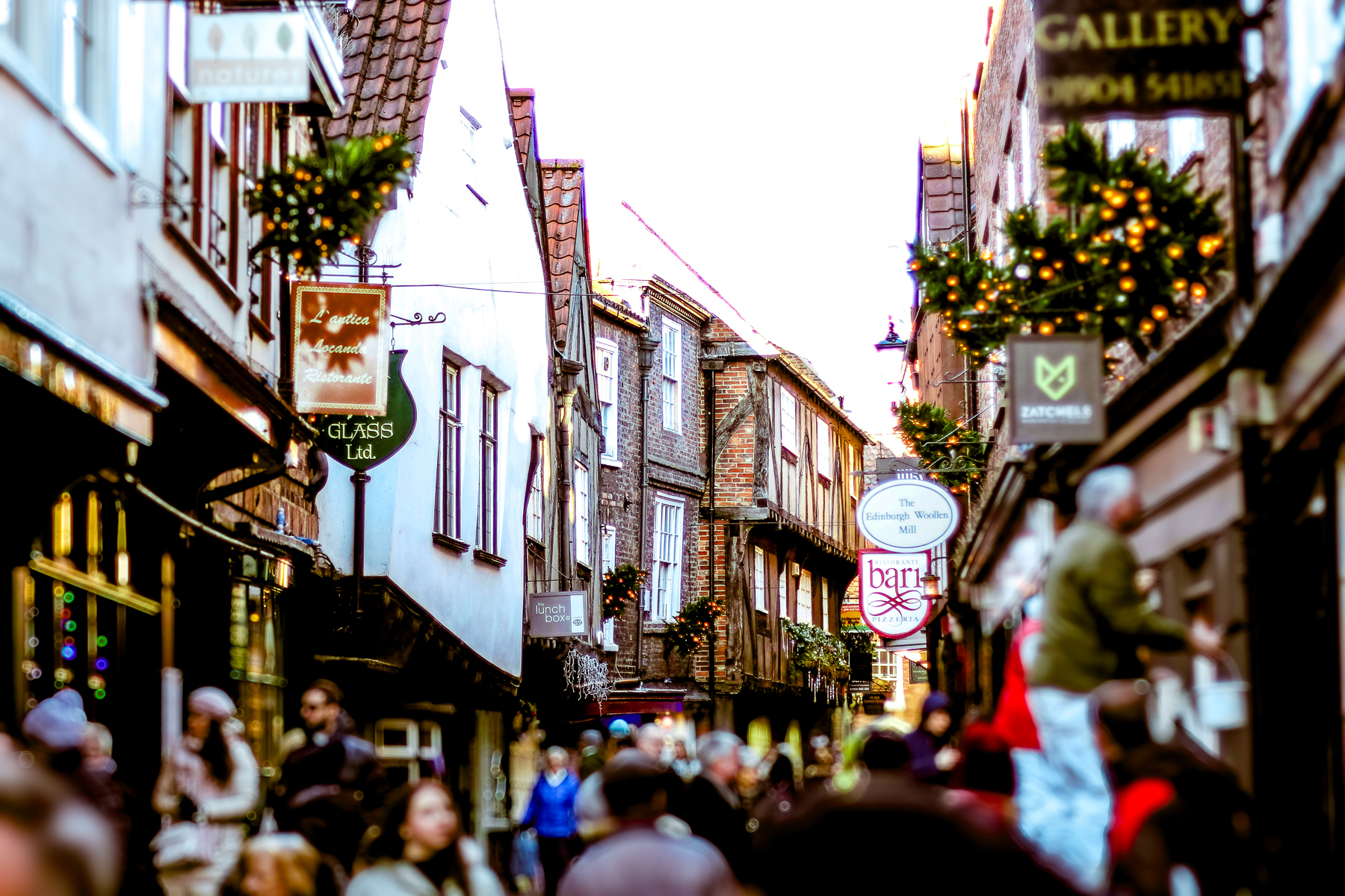 Christmas trees and lights in the Shambles in York