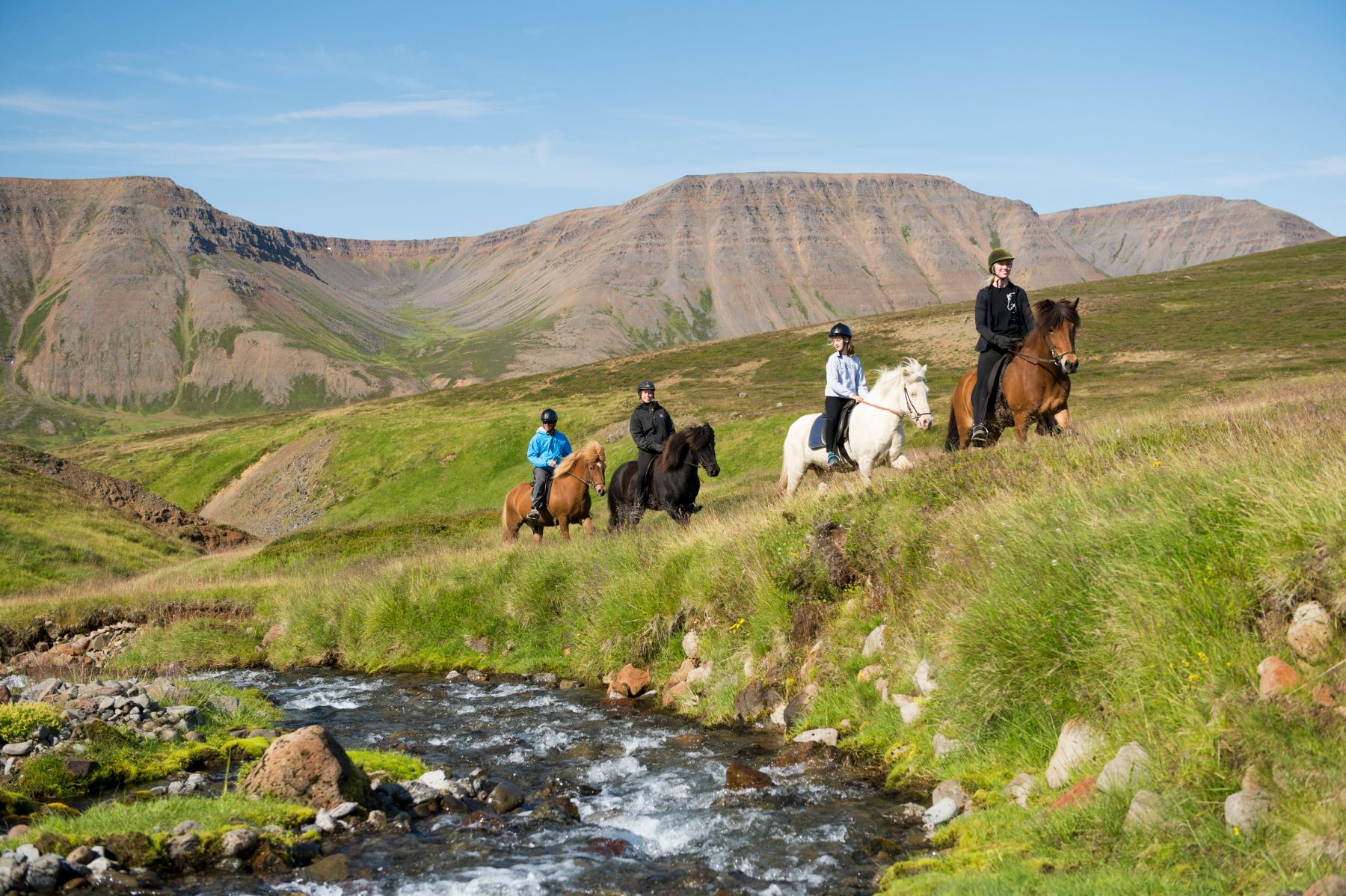 Riding on the grounds of Deplar Farm in Iceland