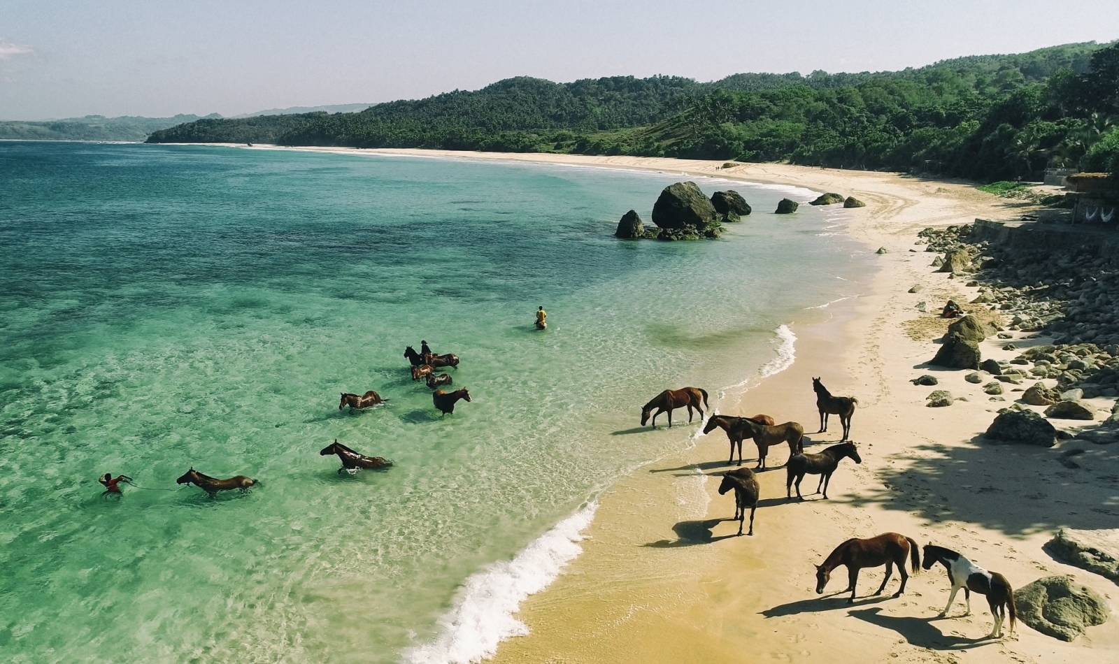 Horses on the beach at Nihi Sumba Indonesia