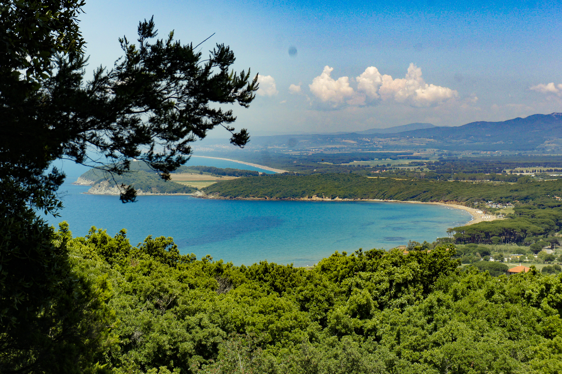 Aerial view of a beach bay in Maremma, Tuscany