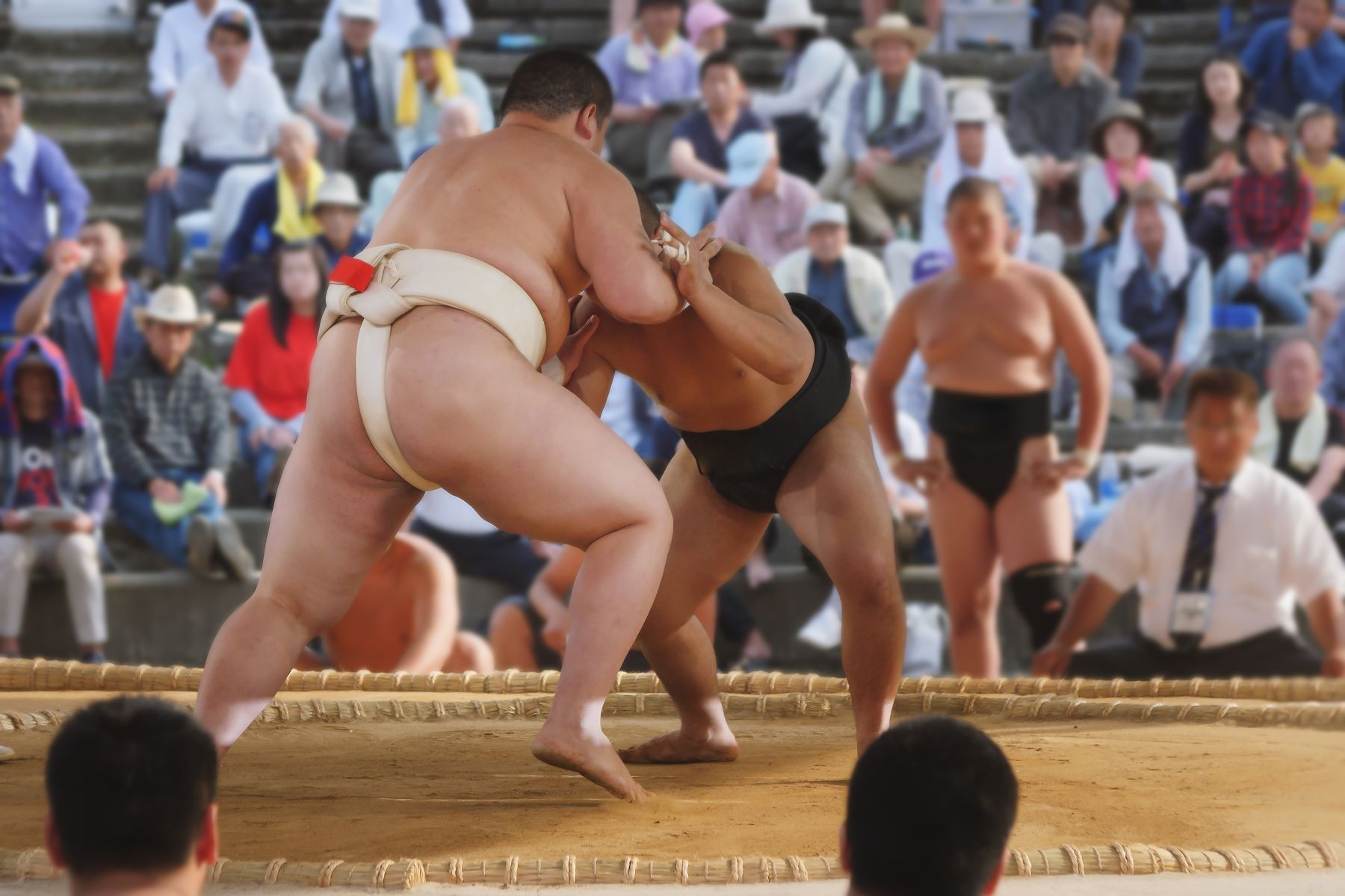 An audience watching a sumo wrestling fight in Japan