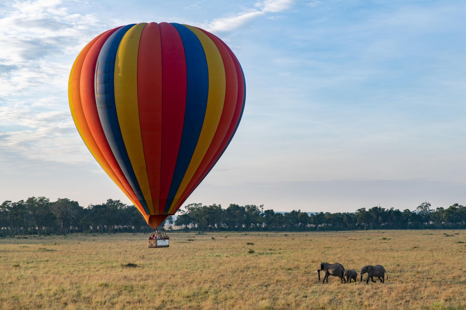 african flying safaris