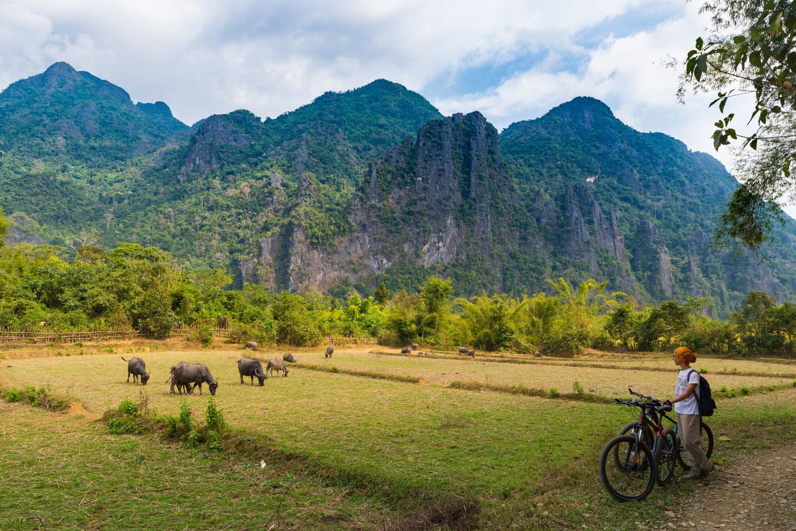 Cyclist looking out at paddy fields and mountains in Laos