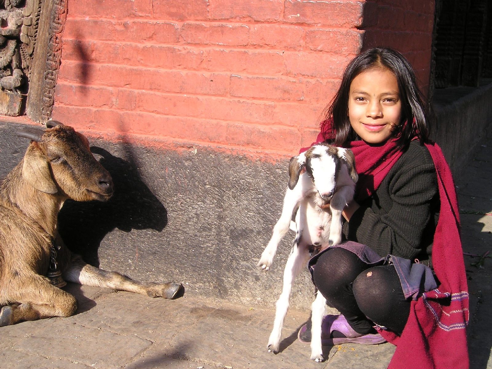 Smiling girl with goat in Kathmandu Nepal