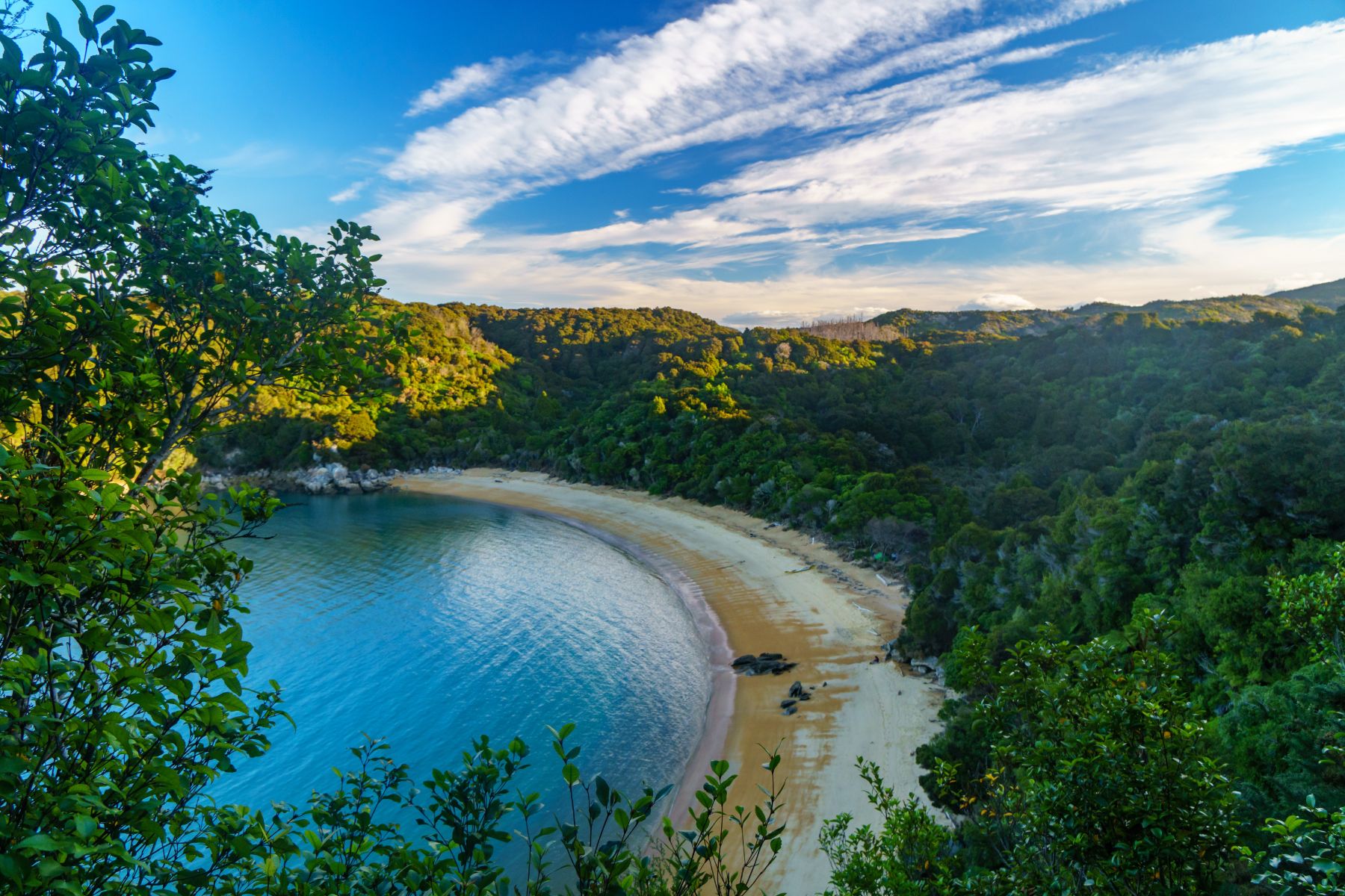 Aerial view of a cove in Abel Tasman