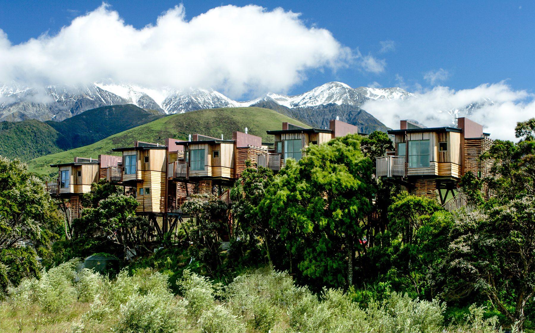 Exterior view of tree houses at Hapuku Lodge & Tree Houses