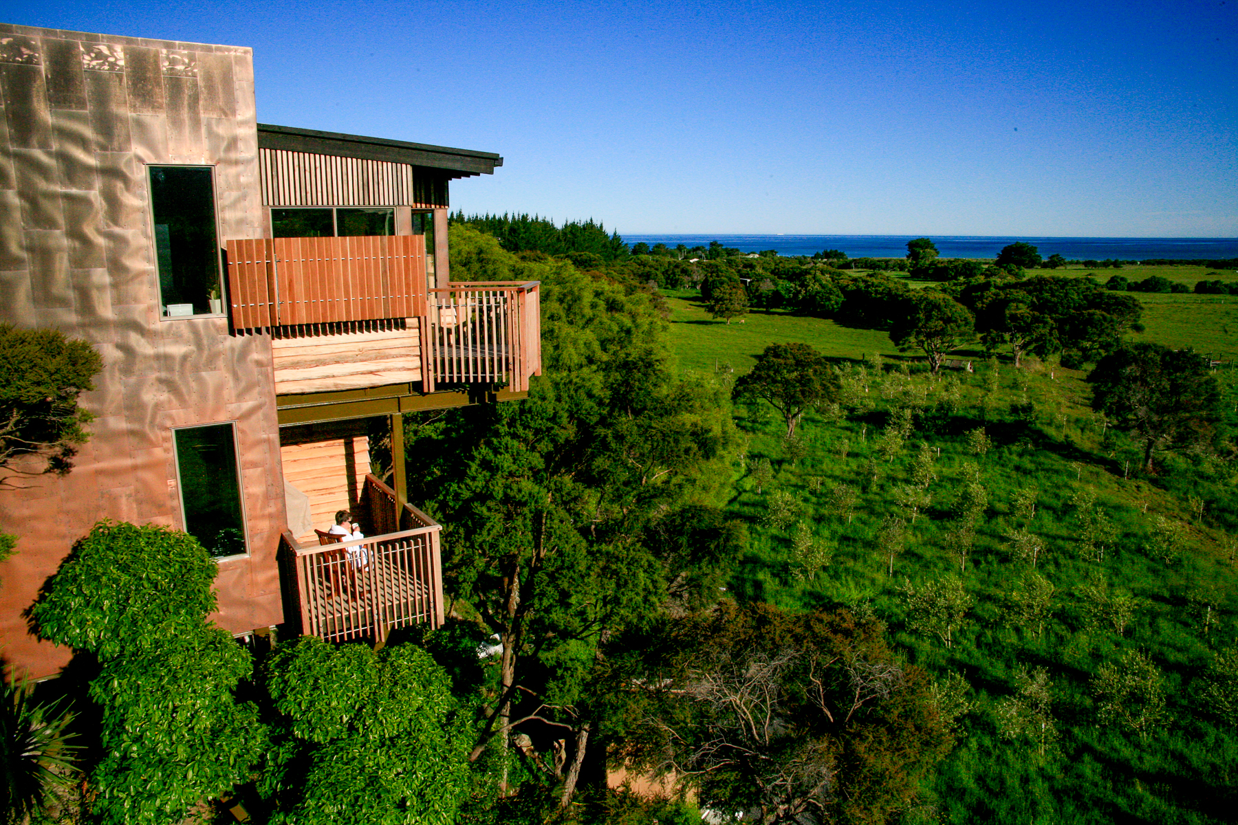 View from a tree house at Hapuku Lodge & Tree Houses