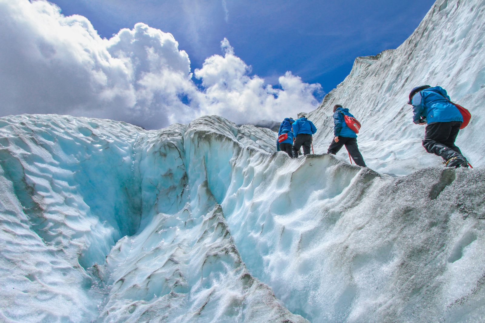 A group trekking up a glacier in New Zealand