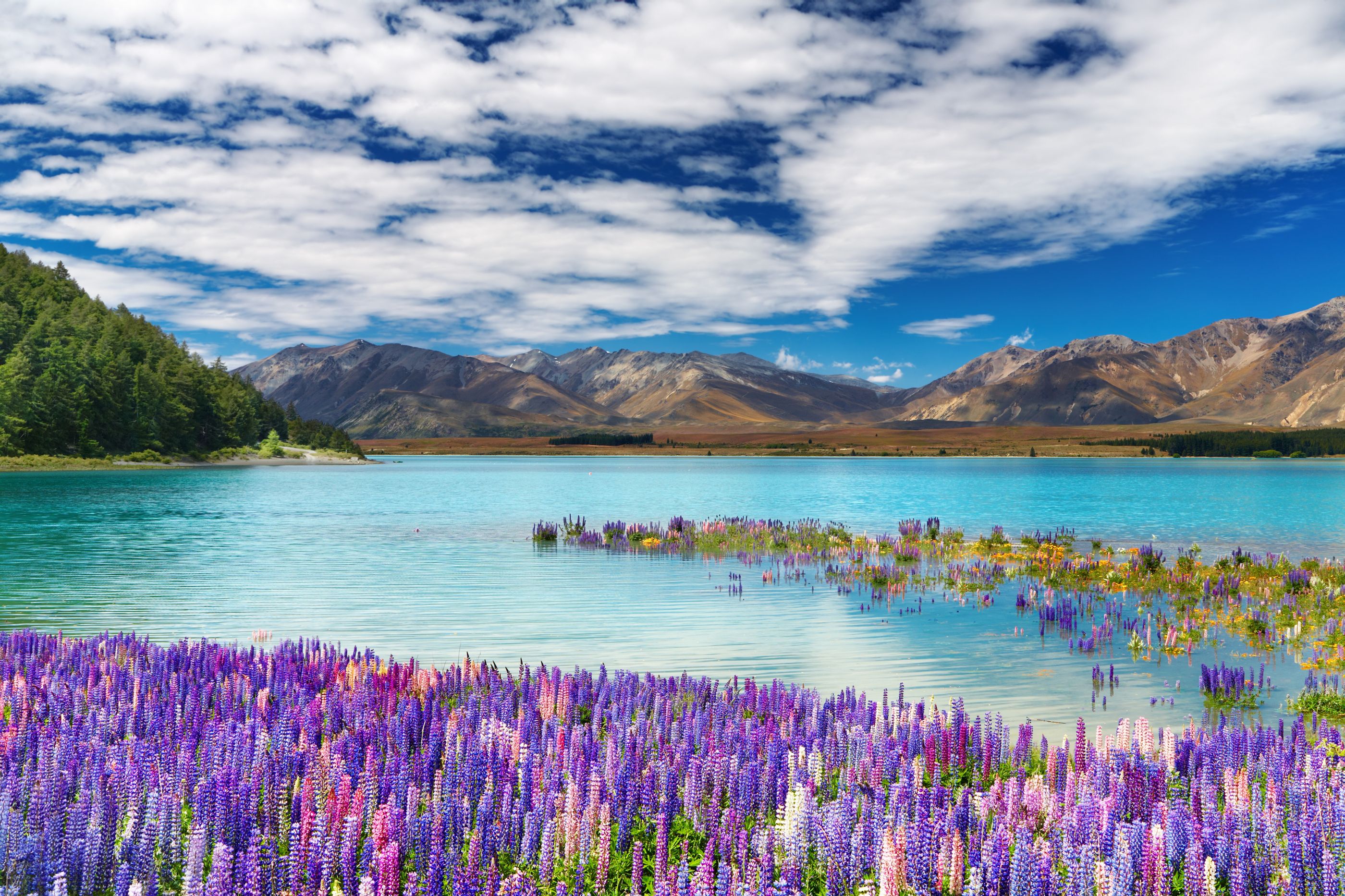 Lake Tekapo in New Zealand