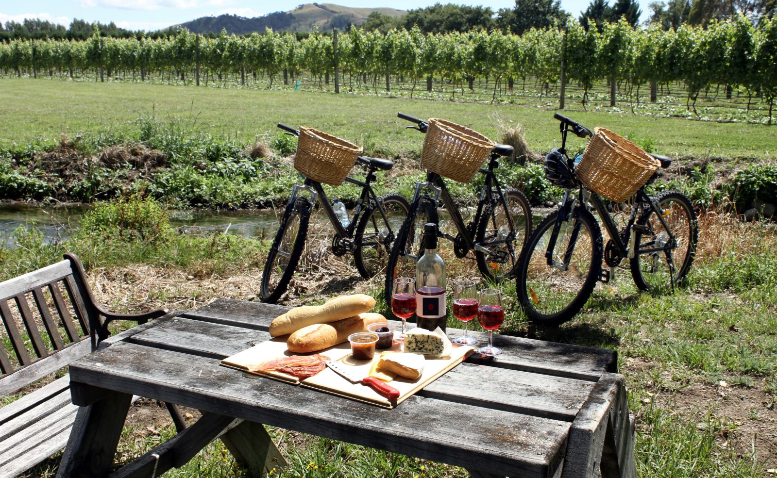 a picnic table and bicycles in a vineyard new zealand