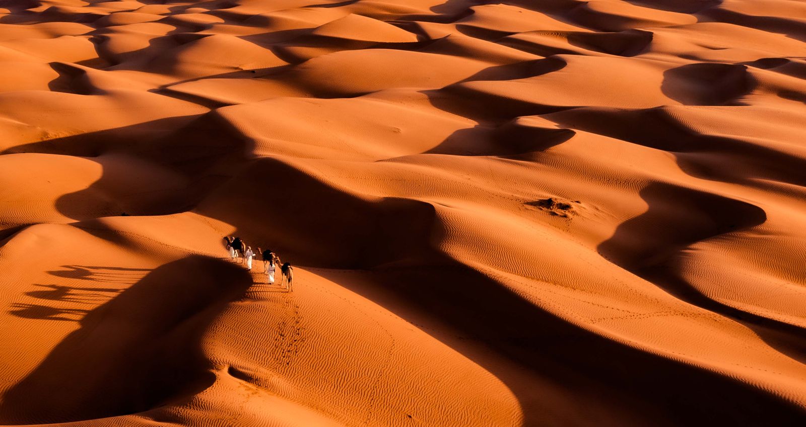 Discover Oman Oman Desert Tours Red Savannah