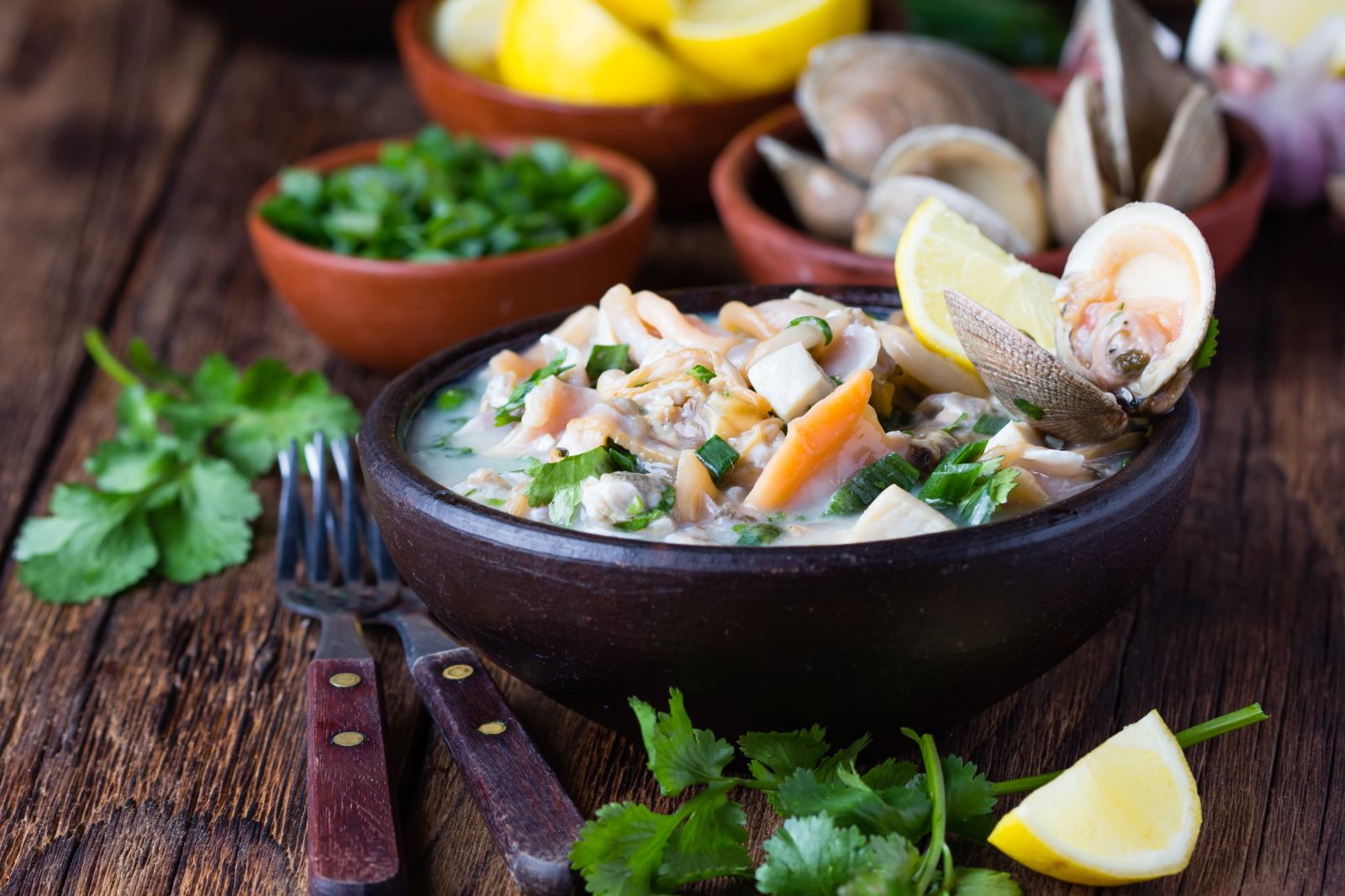 Dish of fresh ceviche in Peru