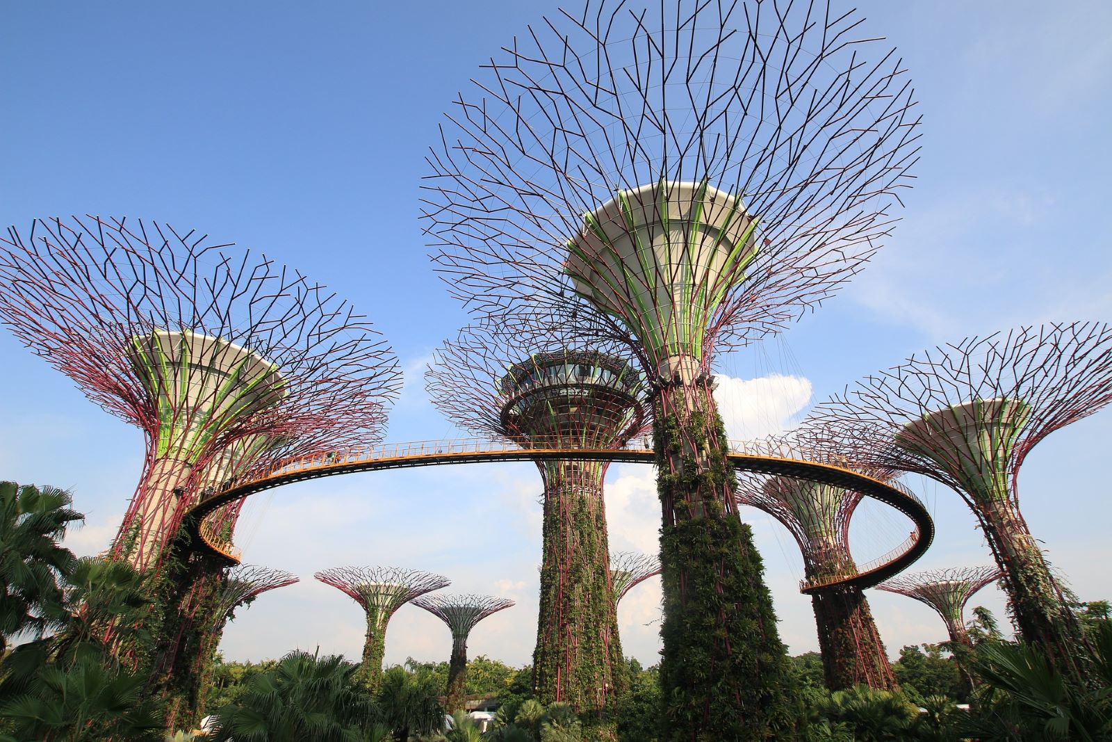 Gardens by the Bay in Singapore