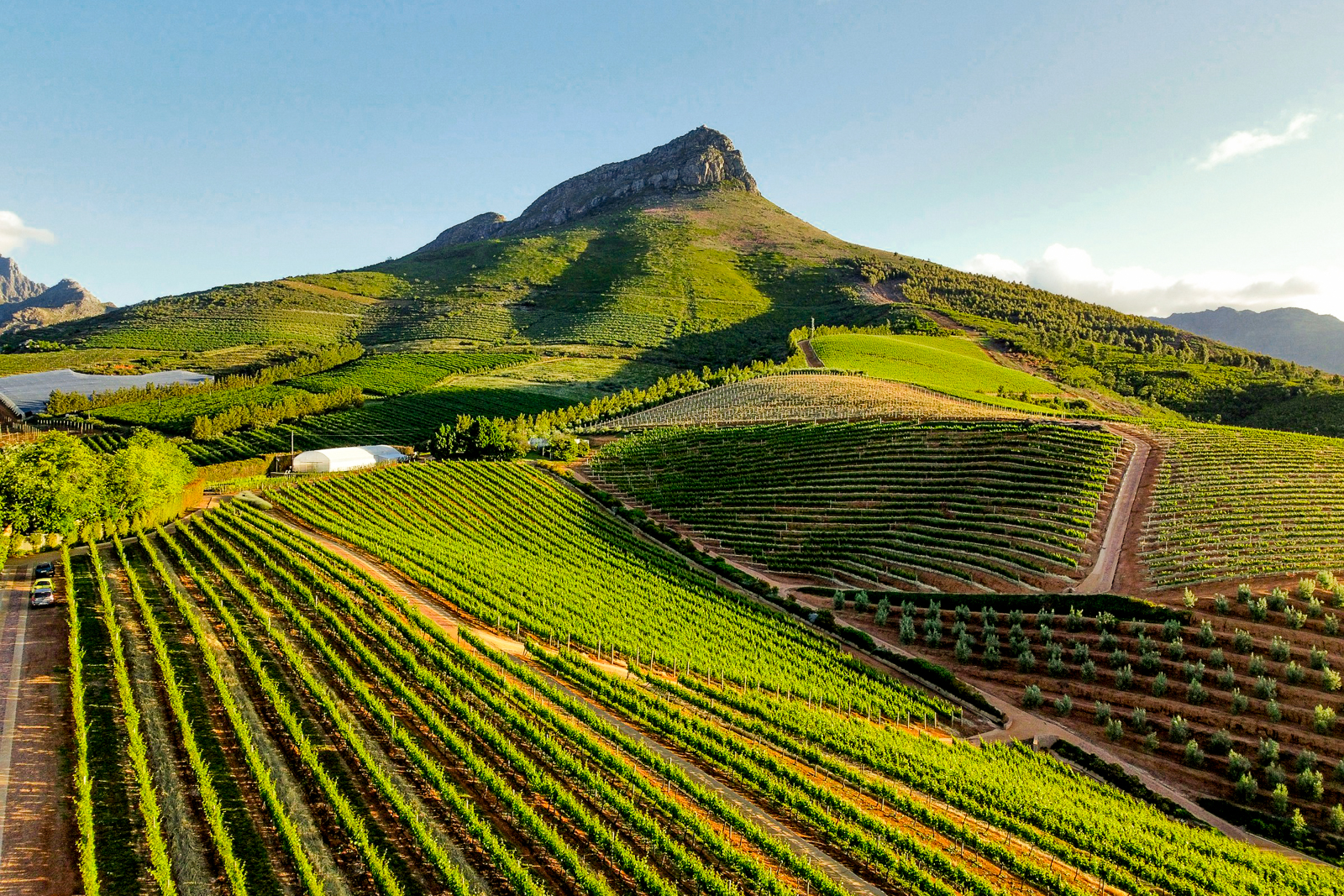 aerial view of the vineyards in Stellenbosch