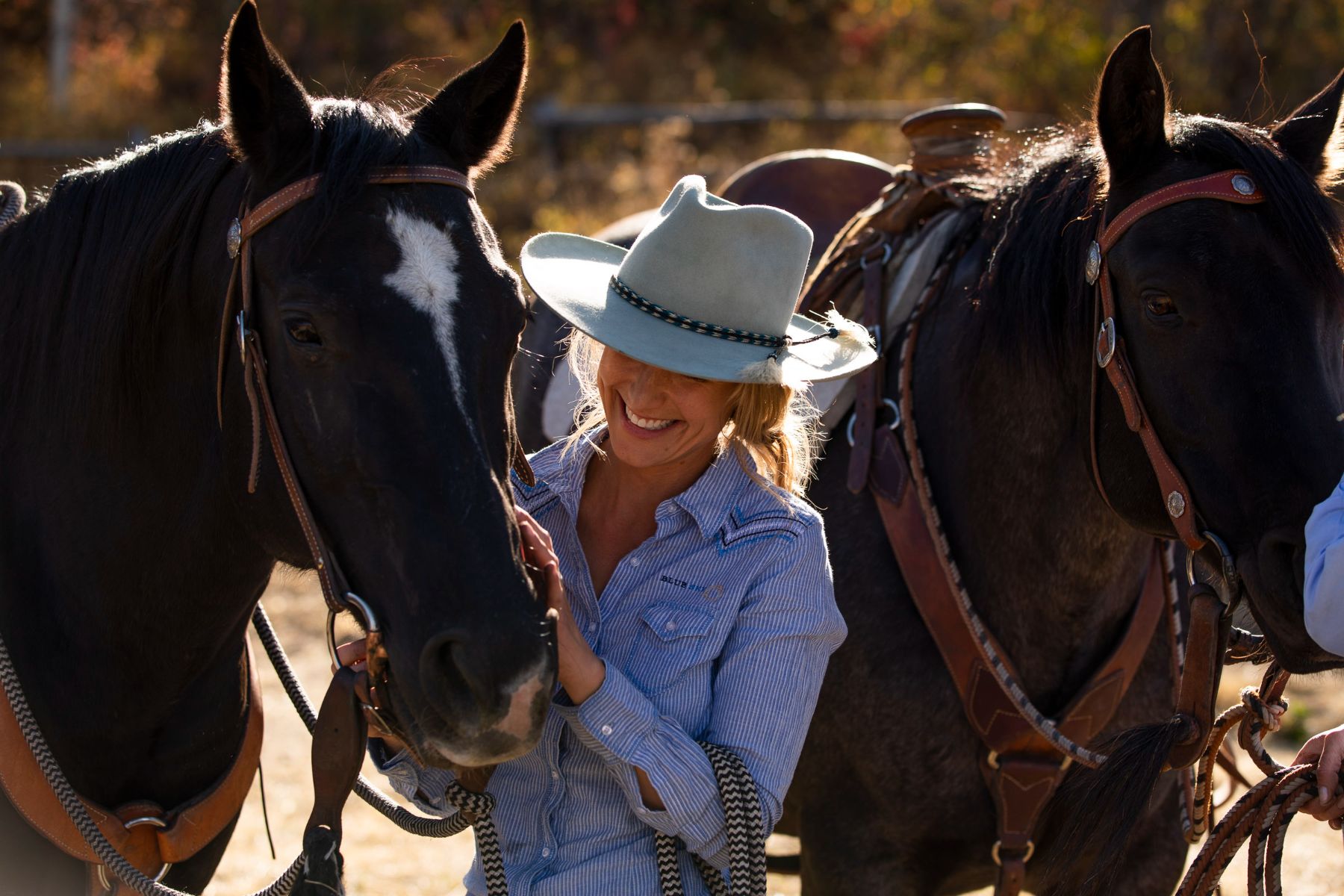 A wrangler tending to the horses at The Lodge at Blue Sky in Utah USA