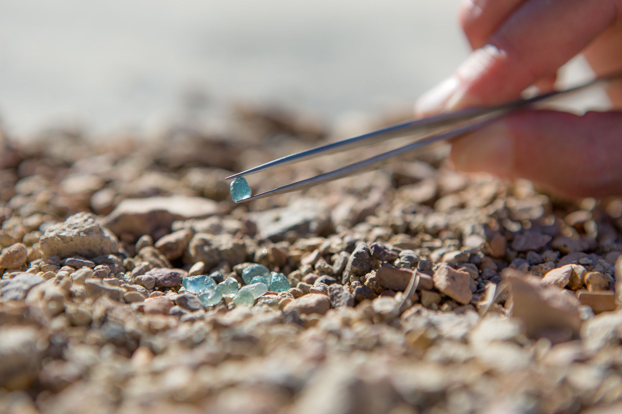 Sapphire panning at Triple Creek Ranch, USA