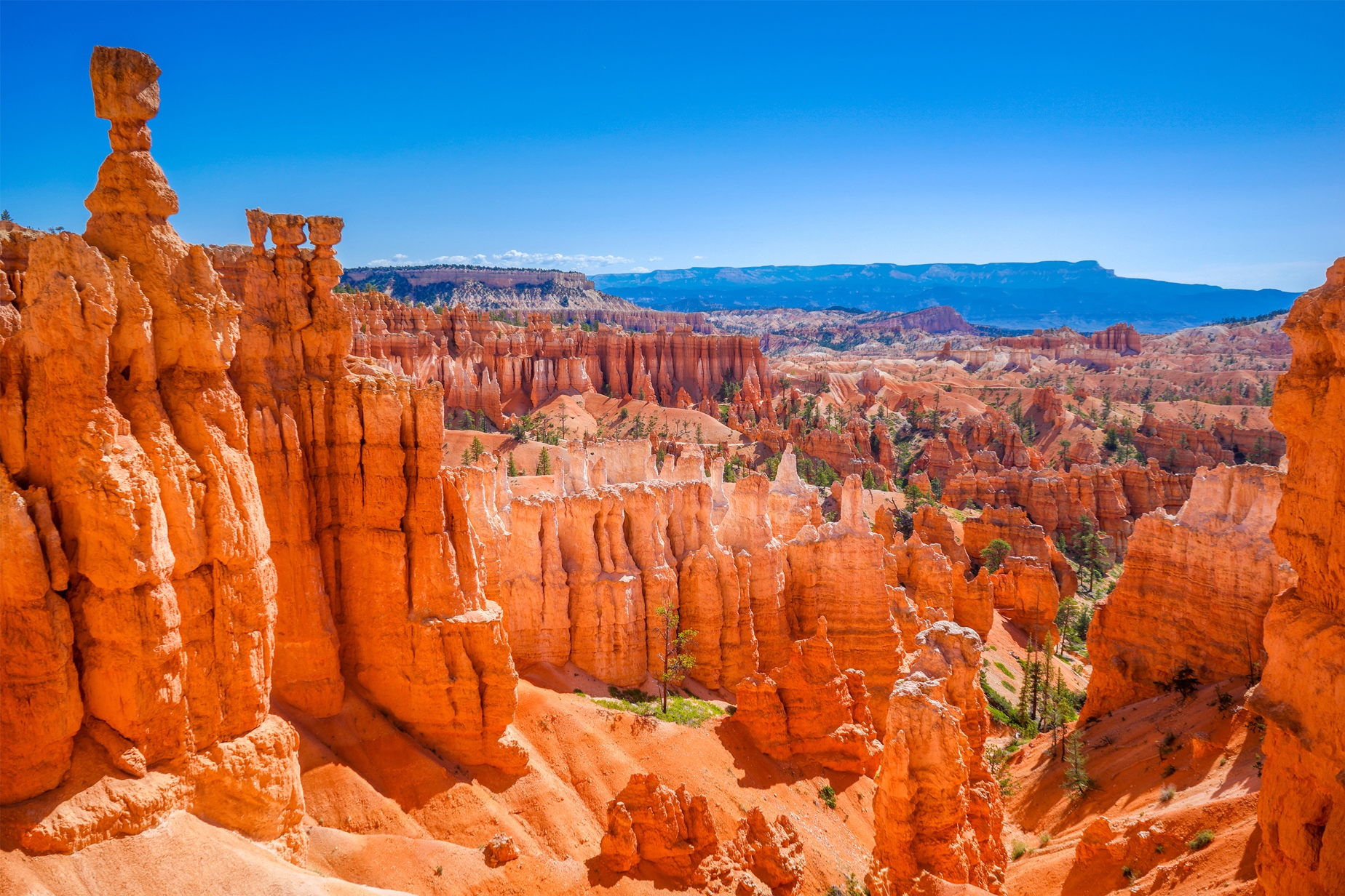 Bryce, USA