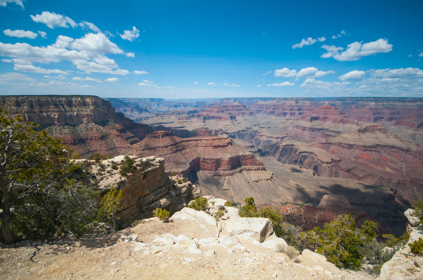 Vista of the Grand Canyon from a viewpoint in Arizona USA