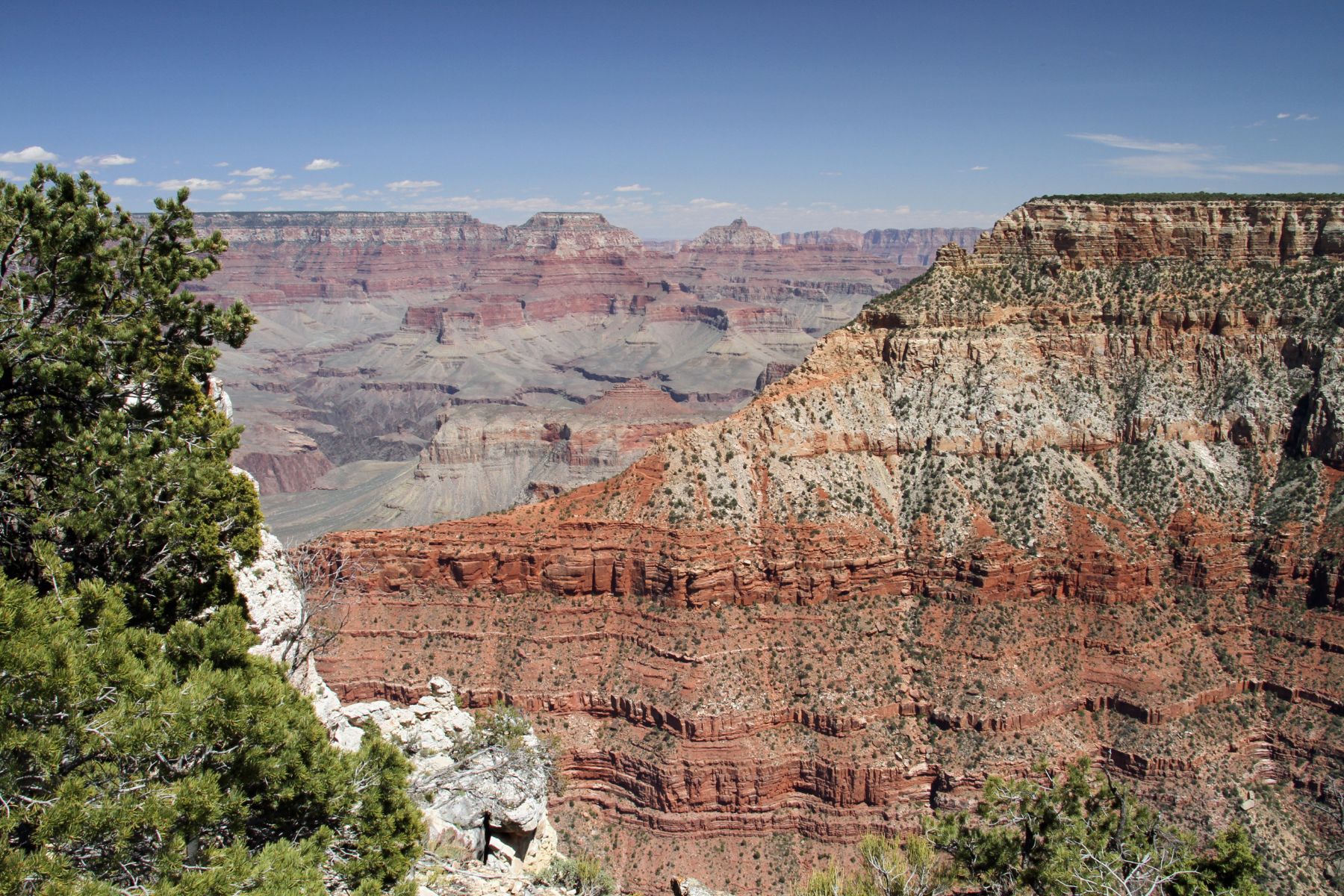 Multilayared rocks on a cliff face at the Grand Canyon USA