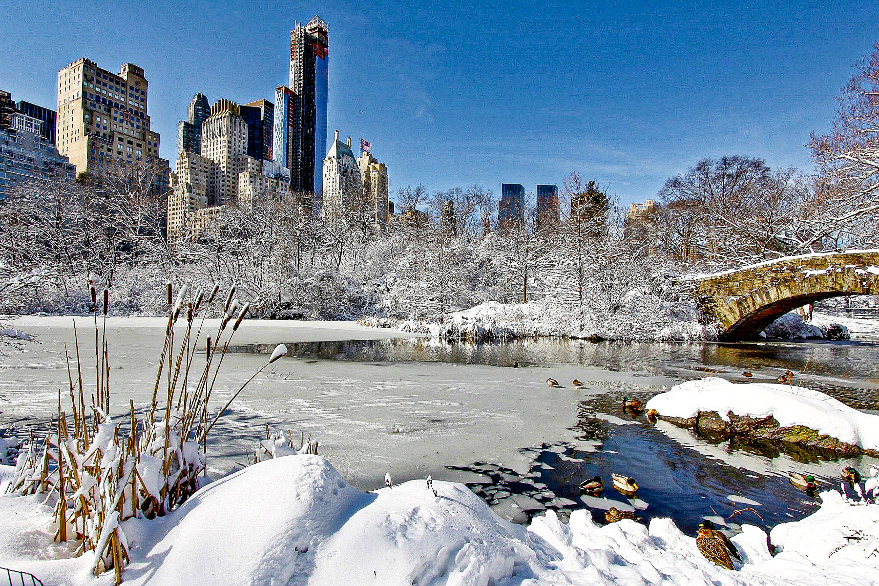 A view of New York city from Central Park during Christmas time