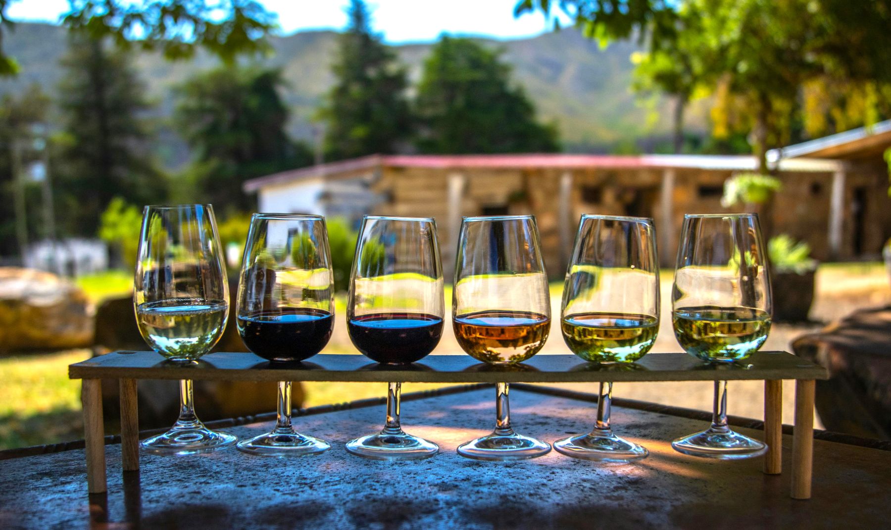 Six glasses of wine of different varieties set in a stand for tasting