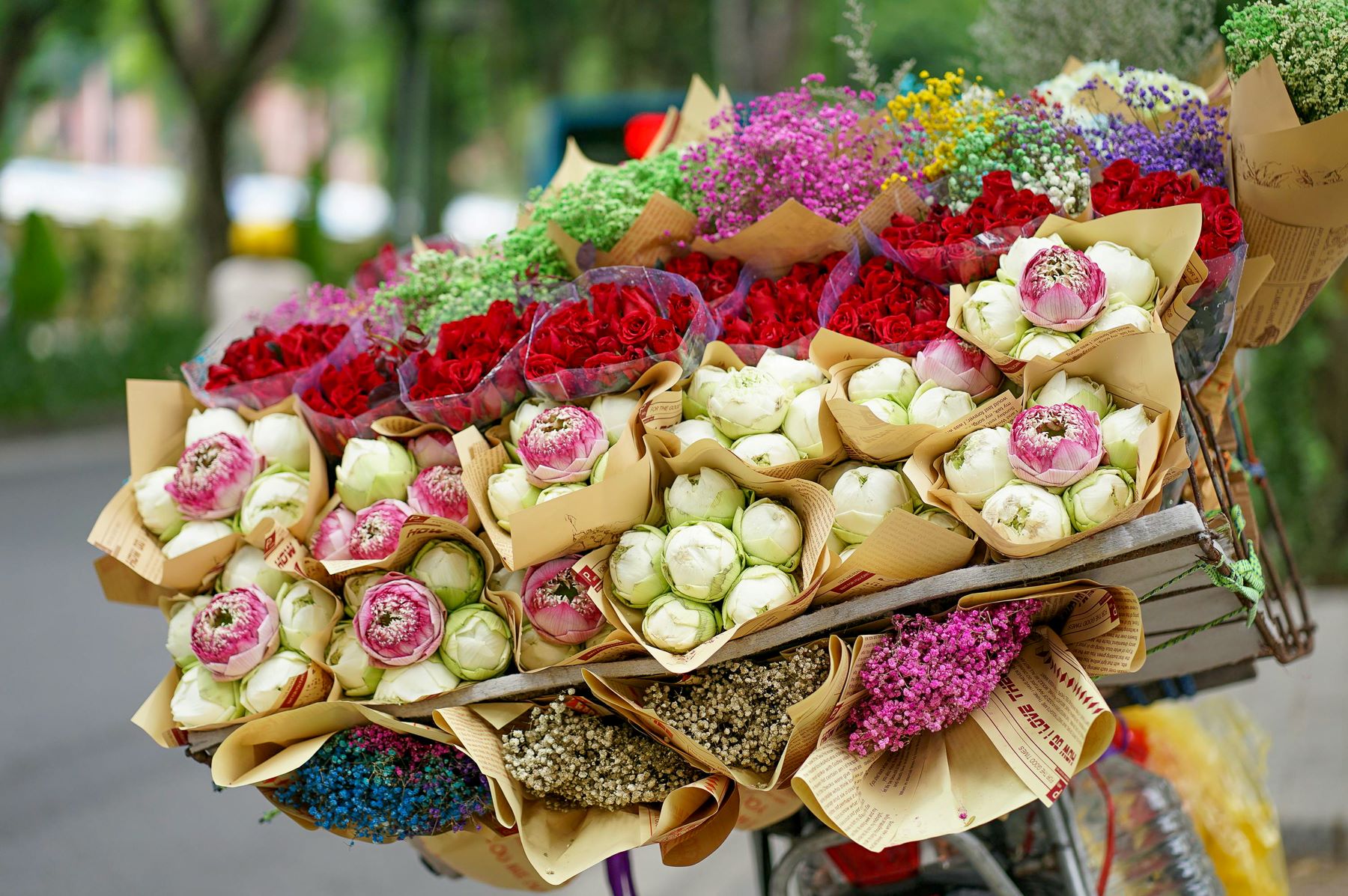 Flowers on sale on a bicycle in Hanoi