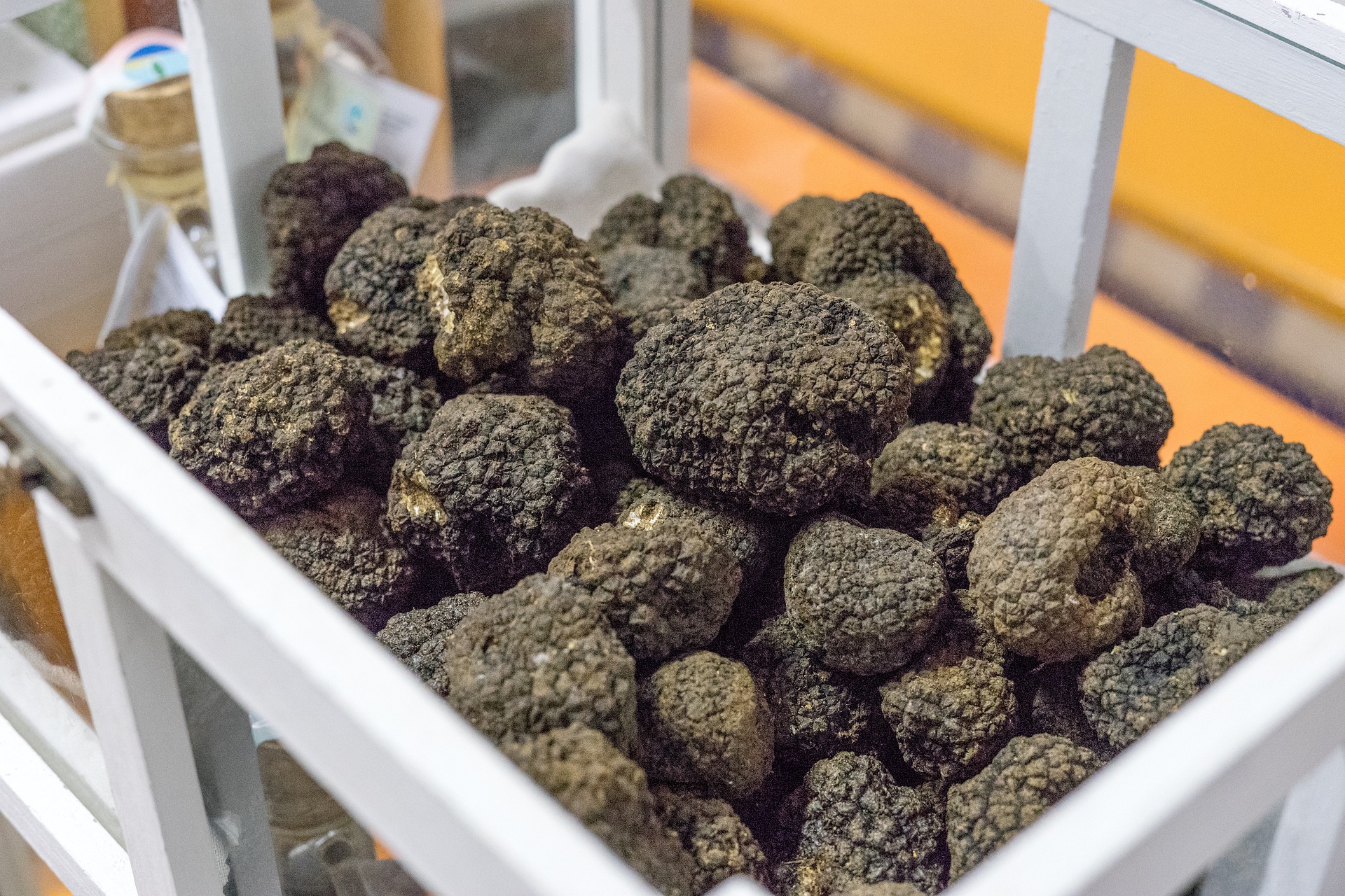 A box of freshly foraged truffles