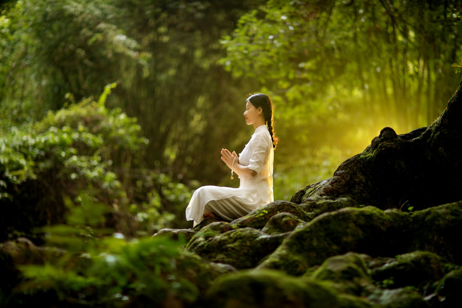 A woman partaking in a serene forest meditation session
